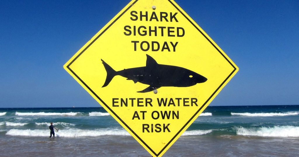 Плаже у Сиднеју затворене су након првог фаталног напада ајкуле у последњих 60 година