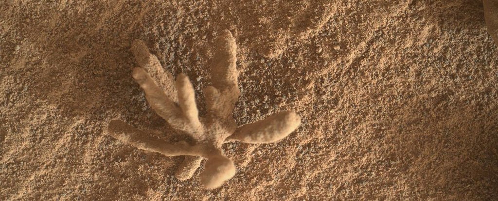 Цуриосити Ровер је снимио ову фотографију деликатног и деликатног металног "цвета" на Марсу