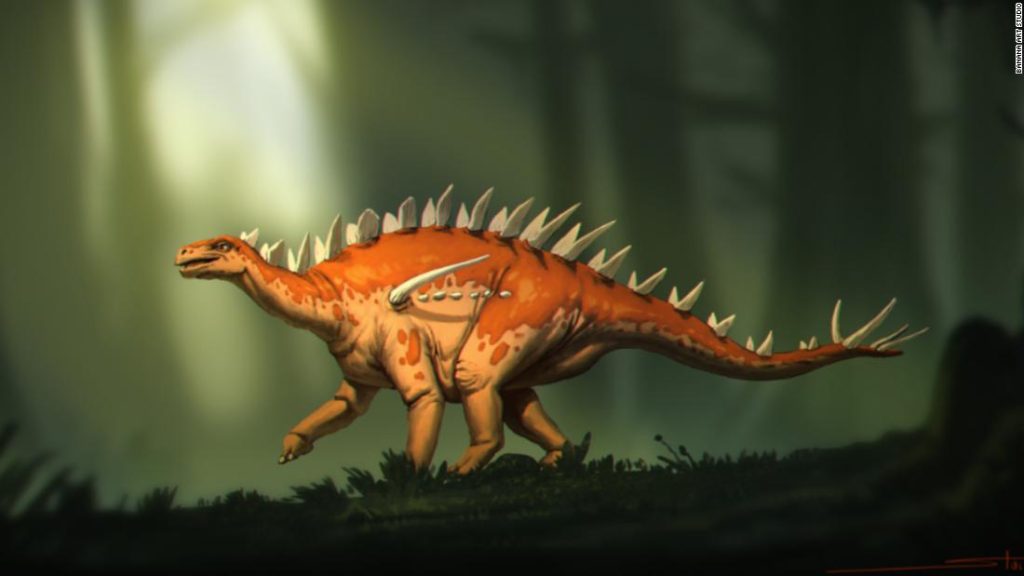 Откривени фосили стегосауруса имају "чудну мешавину карактеристика"