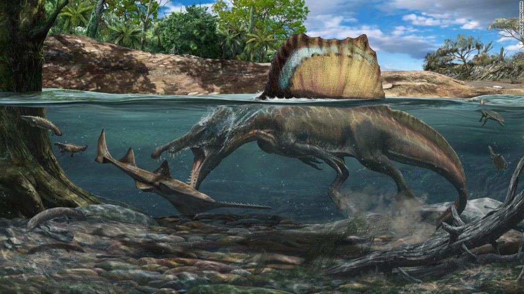 Диносаурус већи од Т. рекса пливао је и ловио под водом