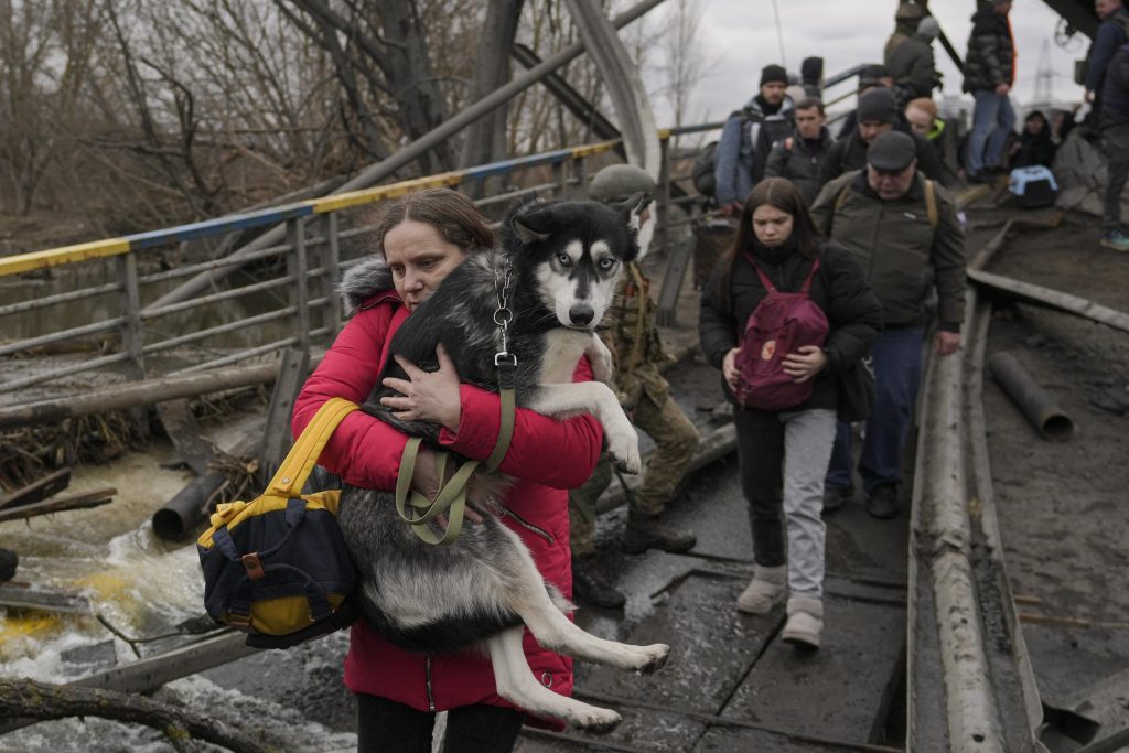 АП ФОТОГРАФИЈЕ: Украјинци који беже од рата "не могу да оставе" кућне љубимце