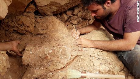 Палеонтолог Матео Фабри ради на фосилу на терену.