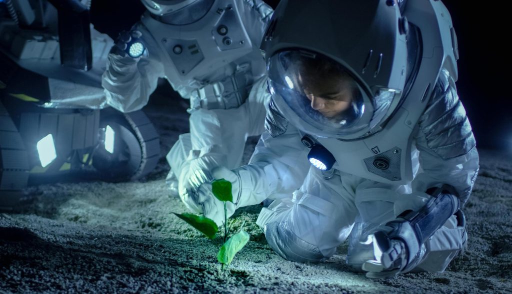 Научници узгајају биљке у лунарном тлу - по први пут у историји човечанства