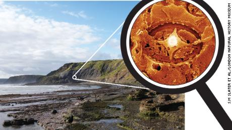 Неки сабласни нанофосили су пронађени из јурских стена у Јоркширу, Велика Британија.