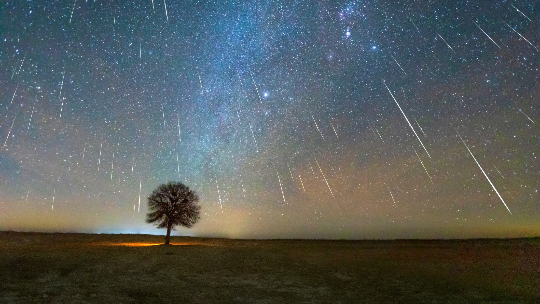 Геминидни метеор са силуетом дрвета у првом плану.
