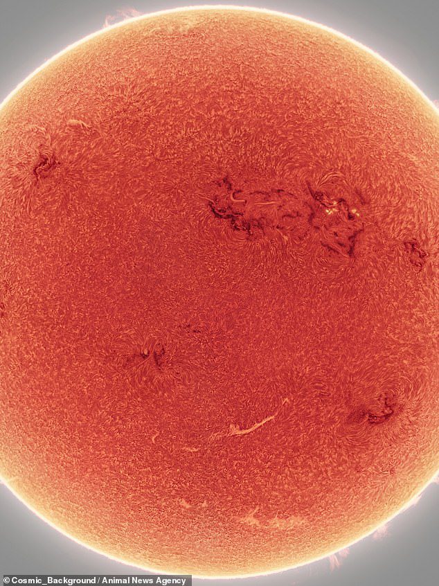 Слика приказује тамне тачке, познате као активне области, на површини Сунца, као и светле сунчеве пеге које избијају из ватрене лопте.