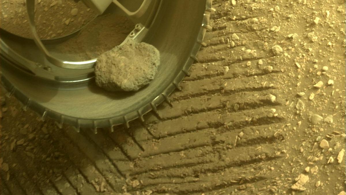 Поглед изблиза на стену за кућне љубимце упорног Марс ровера у левом предњем точку.