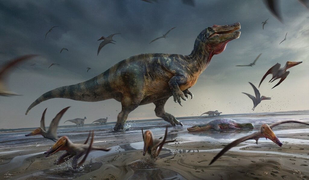 Британски ловац на фосиле открива највећег диносауруса грабежљивца у Европи
