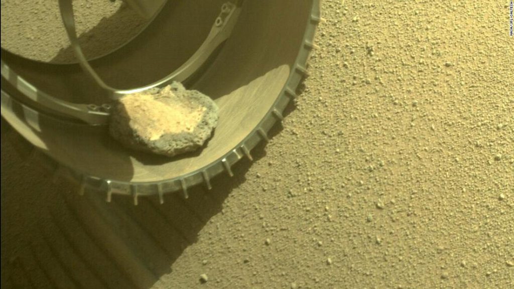 Персеверансов нови пријатељ на Марсу је стена за кућне љубимце