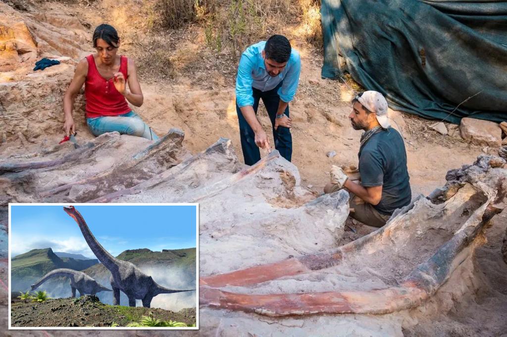 Скелет диносауруса висок 82 метра пронађен је у дворишту мушкарца у Португалу