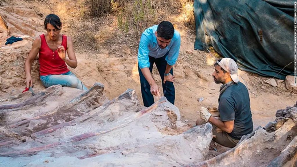 Откријте кавез диносауруса у дворишту Португала