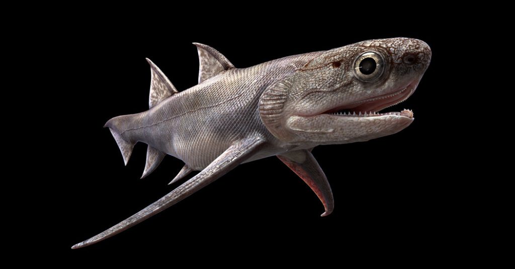 Фосилизоване рибе откривају најстарије раније познате 'чељусти'