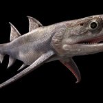 Фосилизоване рибе откривају најстарије раније познате ‘чељусти’