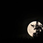 Када видите октобарски пун месец, метеорске кише, Меркур у северном Тексасу – НБЦ 5 Далас-Форт Ворт