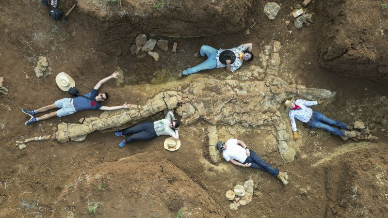 Плезиосаурус: Ловци на фосиле у Аустралији открили скелет стар 100 милиона година